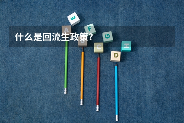 什么是回流生政策？
