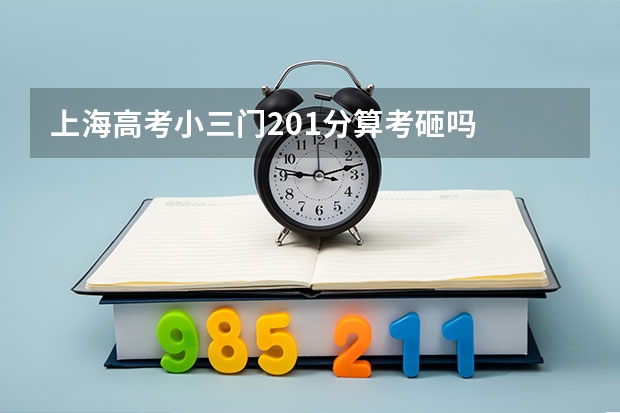 上海高考小三门201分算考砸吗