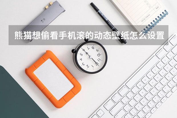 熊猫想偷看手机滚的动态壁纸怎么设置