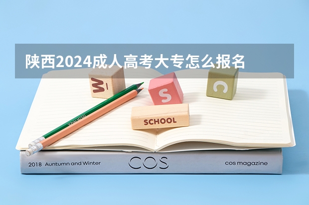 陕西2024成人高考大专怎么报名 有什么要求？