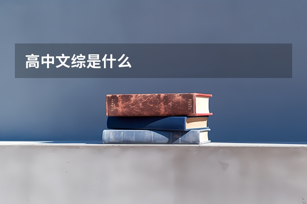 高中文综是什么
