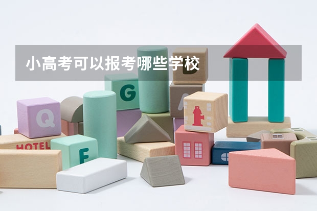 小高考可以报考哪些学校