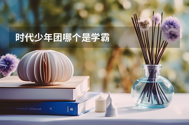 时代少年团哪个是学霸
