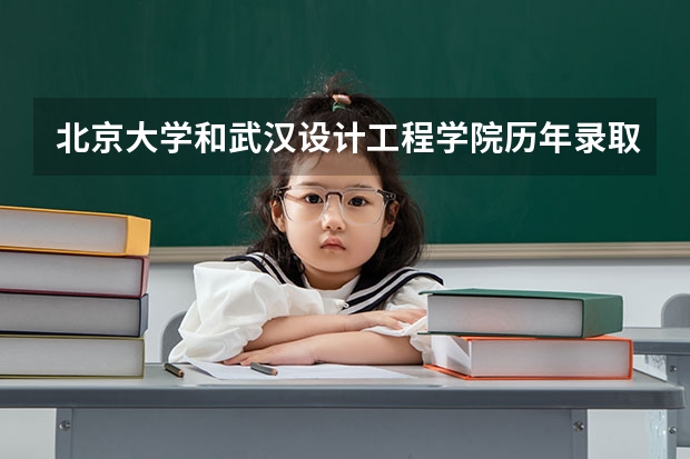 北京大学和武汉设计工程学院历年录取分数线对比