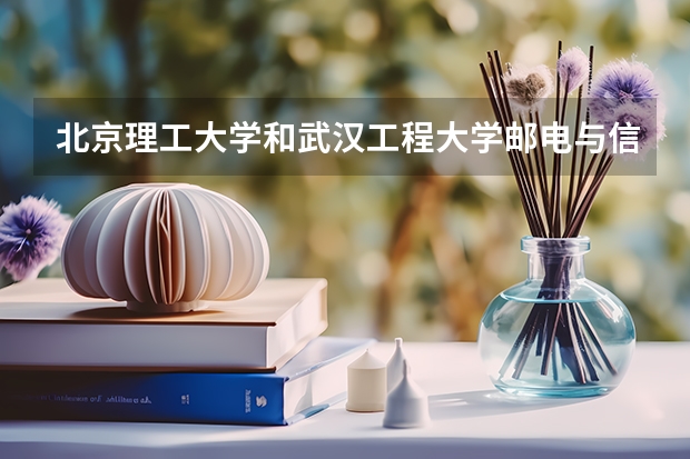 北京理工大学和武汉工程大学邮电与信息工程学院历年录取分数线对比