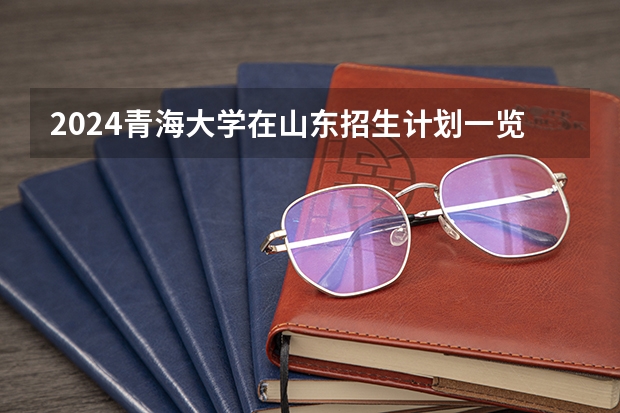 2024青海大学在山东招生计划一览表