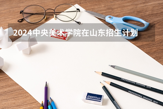 2024中央美术学院在山东招生计划一览表