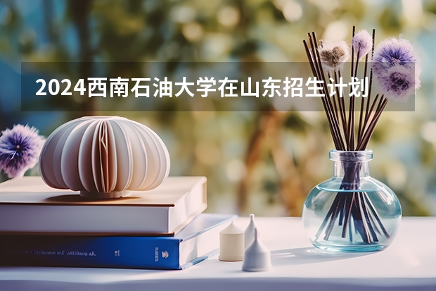 2024西南石油大学在山东招生计划一览表