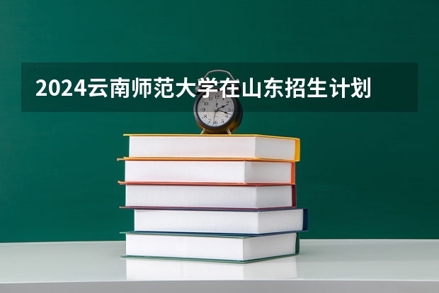 2024云南师范大学在山东招生计划一览表
