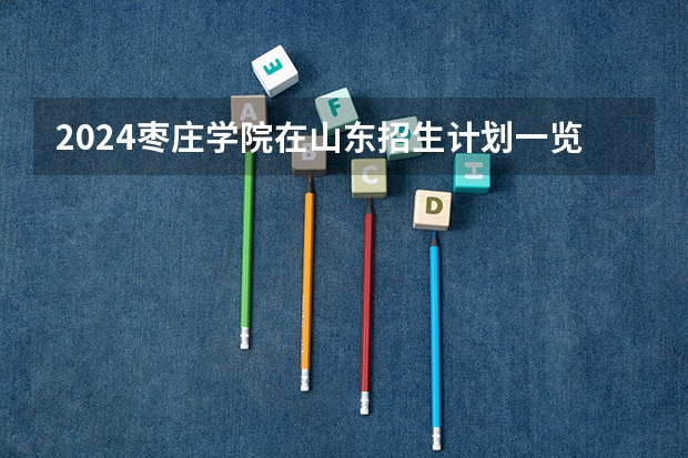 2024枣庄学院在山东招生计划一览表