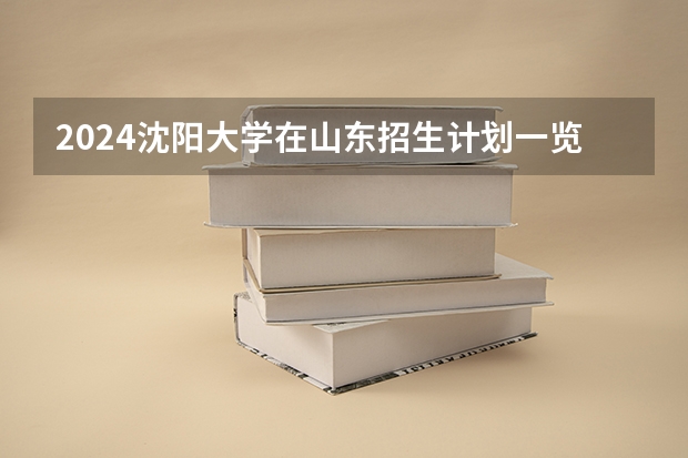 2024沈阳大学在山东招生计划一览表