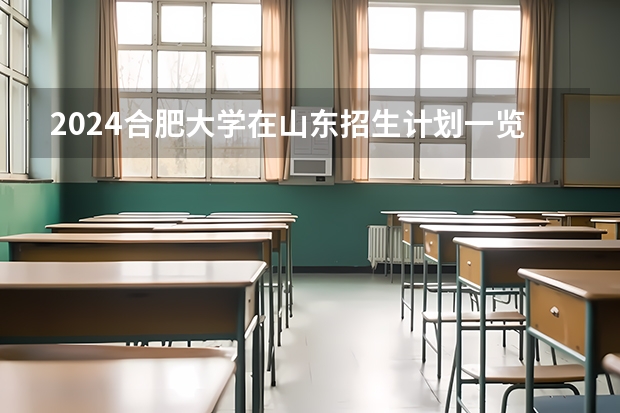 2024合肥大学在山东招生计划一览表