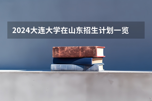 2024大连大学在山东招生计划一览表