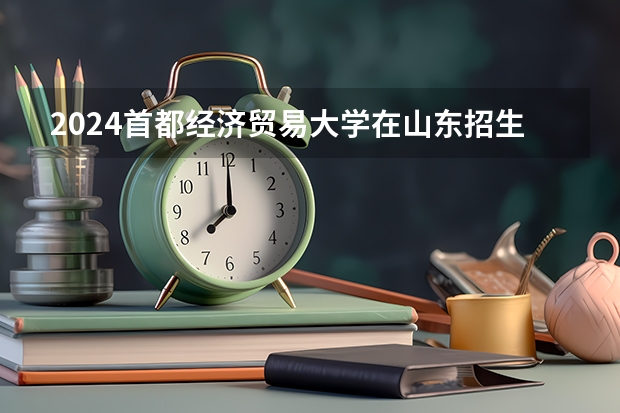 2024首都经济贸易大学在山东招生计划一览表