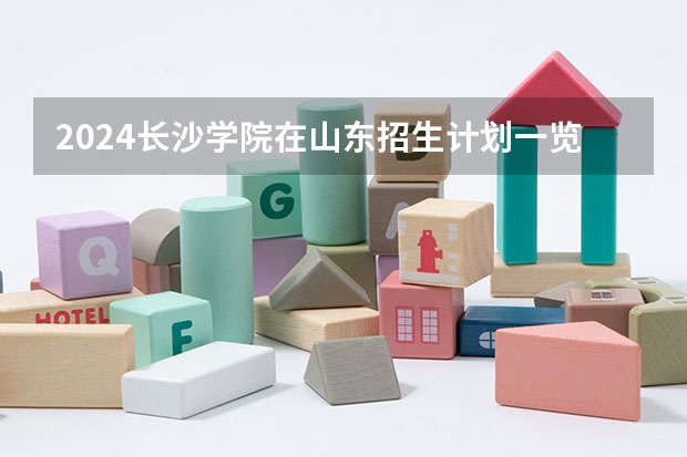 2024长沙学院在山东招生计划一览表