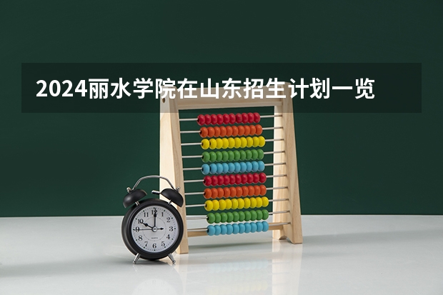 2024丽水学院在山东招生计划一览表