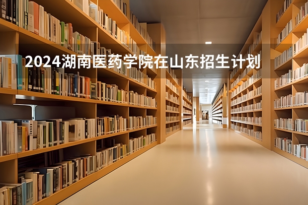 2024湖南医药学院在山东招生计划一览表