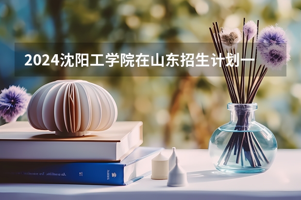 2024沈阳工学院在山东招生计划一览表