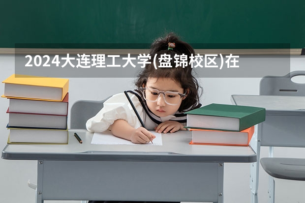 2024大连理工大学(盘锦校区)在山东招生计划一览表