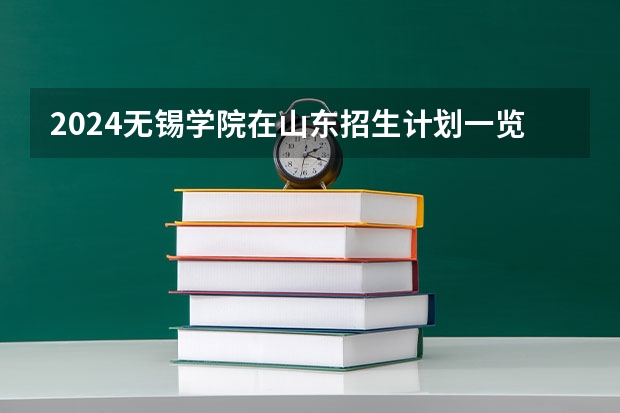 2024无锡学院在山东招生计划一览表
