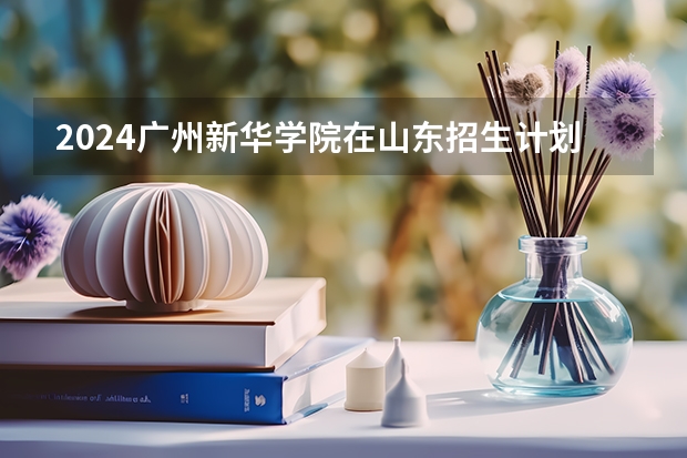 2024广州新华学院在山东招生计划一览表