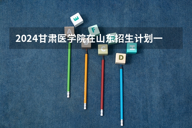 2024甘肃医学院在山东招生计划一览表