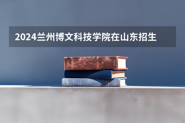 2024兰州博文科技学院在山东招生计划一览表