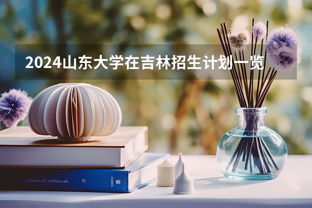 2024山东大学在吉林招生计划一览表