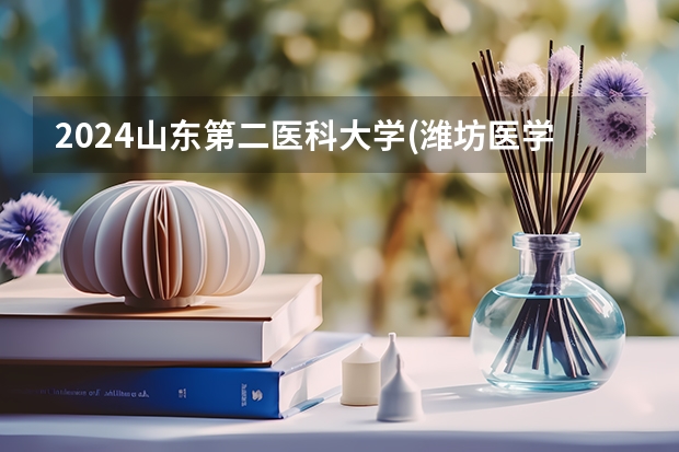 2024山东第二医科大学(潍坊医学院)在四川招生计划一览表