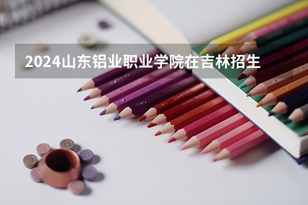2024山东铝业职业学院在吉林招生计划一览表