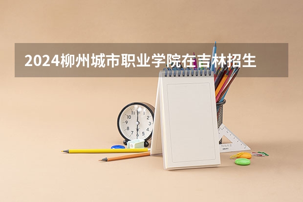2024柳州城市职业学院在吉林招生计划一览表