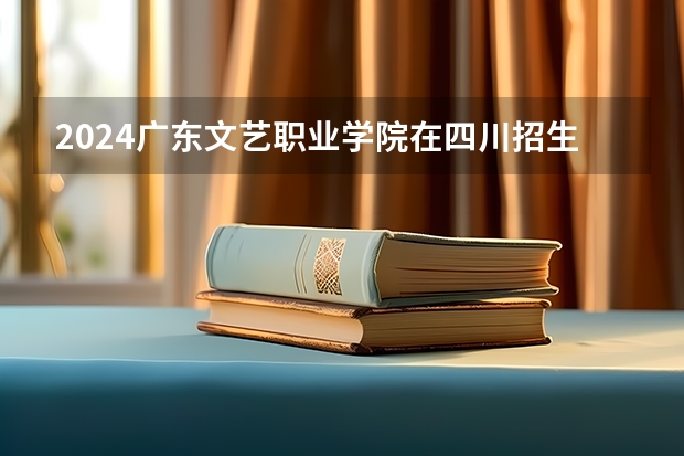 2024广东文艺职业学院在四川招生计划一览表
