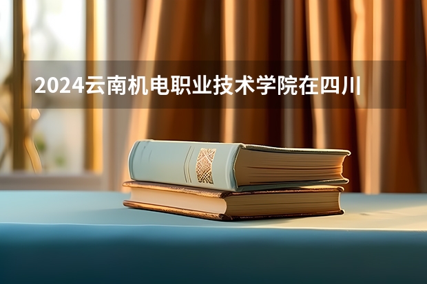 2024云南机电职业技术学院在四川招生计划一览表