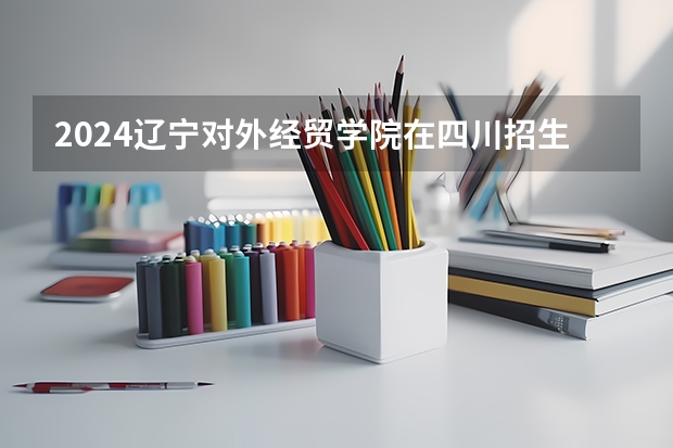 2024辽宁对外经贸学院在四川招生计划一览表