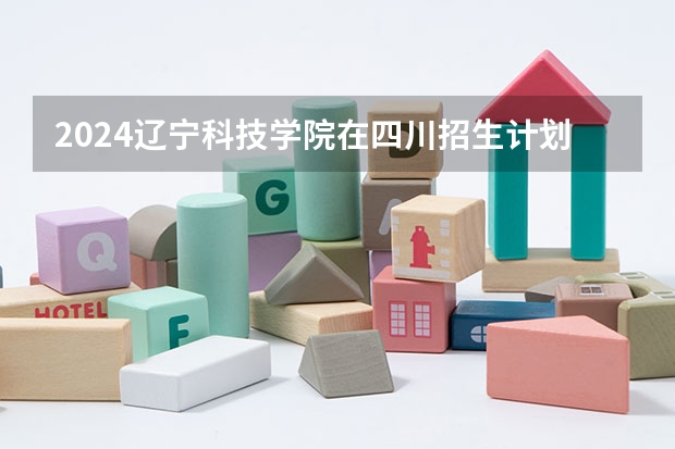 2024辽宁科技学院在四川招生计划一览表