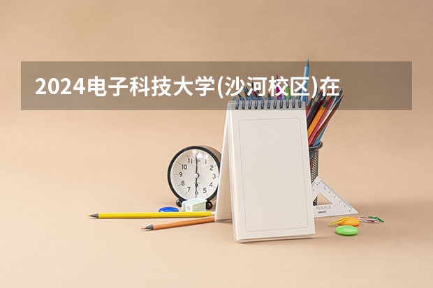 2024电子科技大学(沙河校区)在吉林招生计划一览表