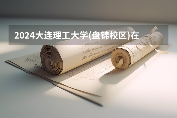 2024大连理工大学(盘锦校区)在四川招生计划一览表