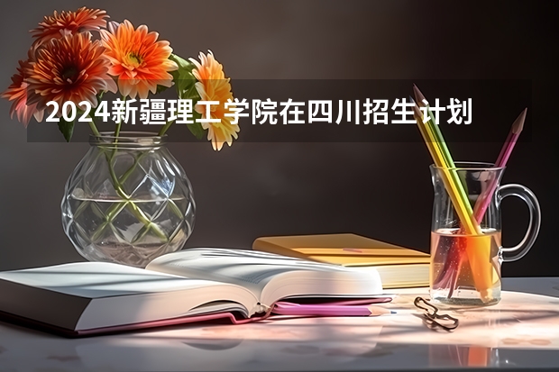 2024新疆理工学院在四川招生计划一览表