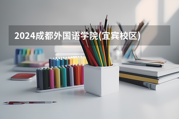 2024成都外国语学院(宜宾校区)在四川招生计划一览表