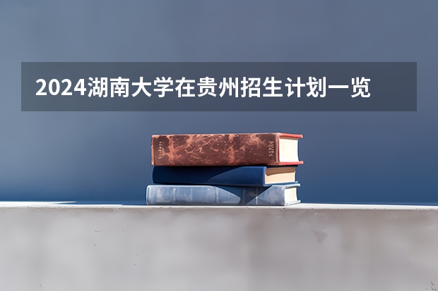 2024湖南大学在贵州招生计划一览表