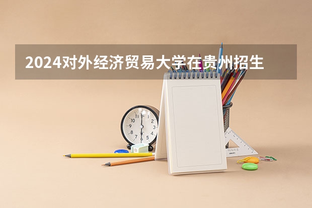 2024对外经济贸易大学在贵州招生计划一览表