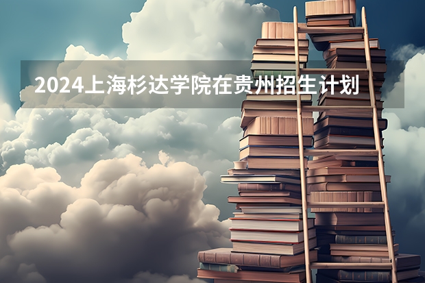 2024上海杉达学院在贵州招生计划一览表