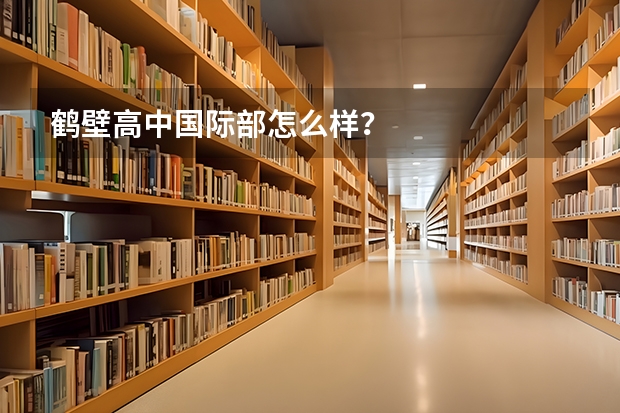 鹤壁高中国际部怎么样？