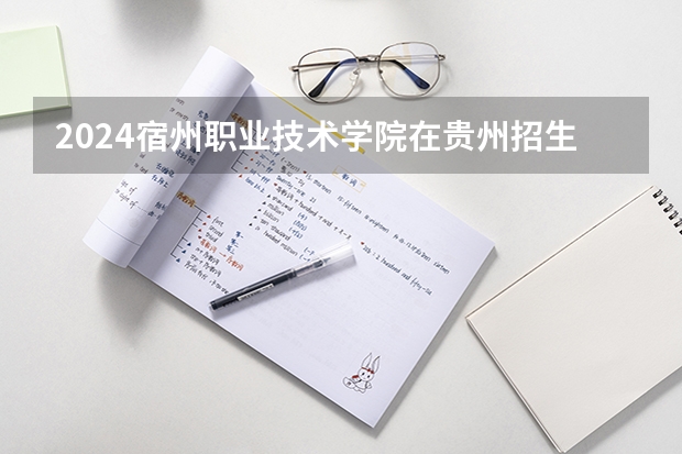 2024宿州职业技术学院在贵州招生计划一览表