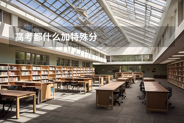 高考都什么加特殊分