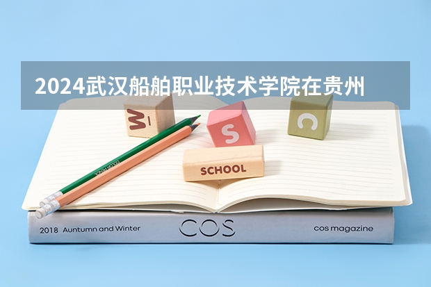 2024武汉船舶职业技术学院在贵州招生计划一览表