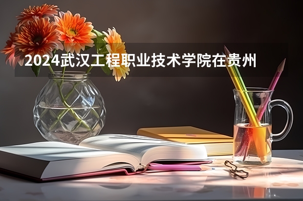 2024武汉工程职业技术学院在贵州招生计划一览表