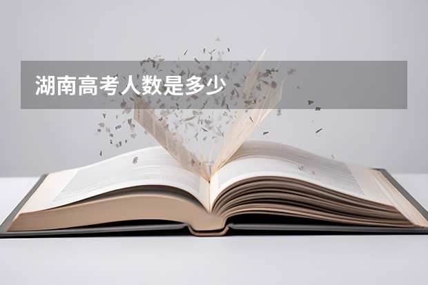 湖南高考人数是多少