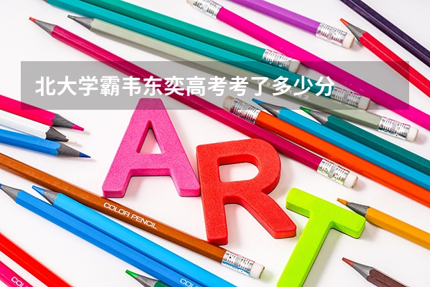 北大学霸韦东奕高考考了多少分