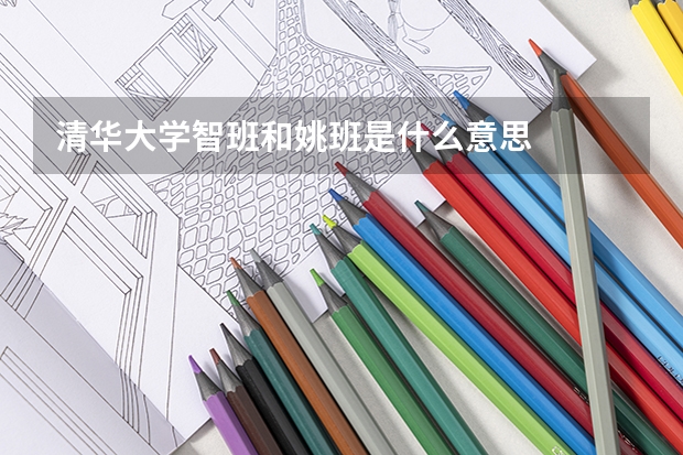 清华大学智班和姚班是什么意思